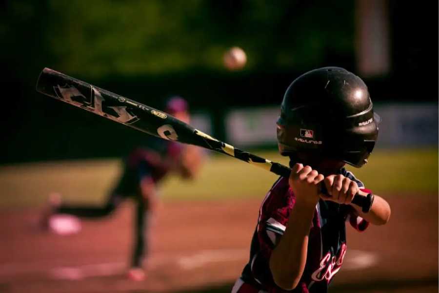 Composite Baseball Bats